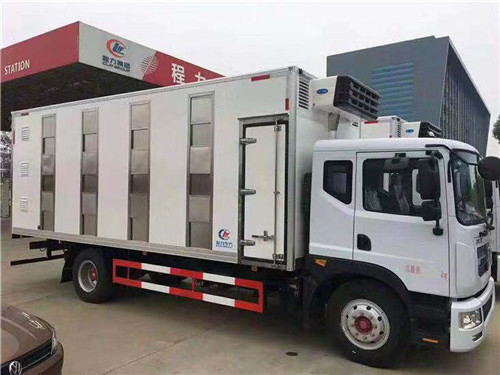 東風(fēng)多利卡D9雛禽運輸車圖片