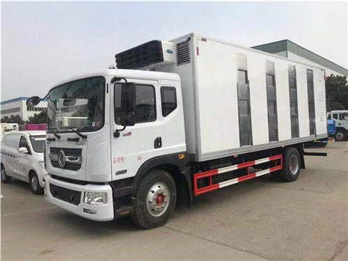 東風(fēng)多利卡D9雛禽運輸車圖片